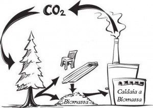 CO2-neutra